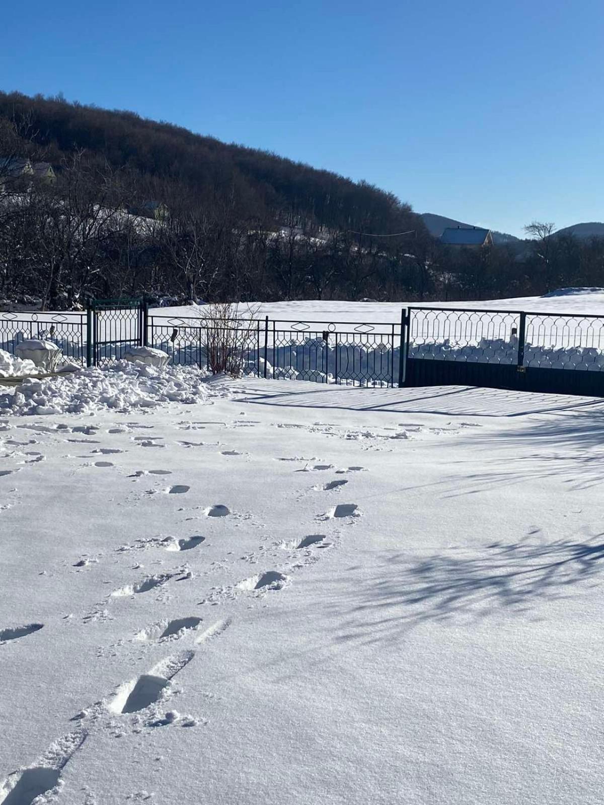 Vila Vikendica Matic Goc Exteriér fotografie